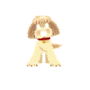 Labradoodle Dog Mom