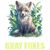 Graufüchse Graufuchs