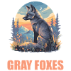Gray foxes Gray fox