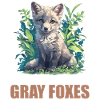 Gray Foxes Gray Fox