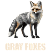Graufüchse Graufuchs