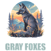 Gray foxes Gray fox