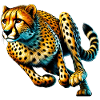 Guépard
