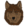 Brauner Hund - Hunde Gesicht