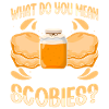 Kombucha Scoby fermented drinks