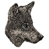 Dog Head