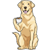 Labrador cup of coffee
