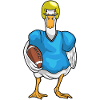 Duck American Football Helmet