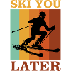 funny ski sayings skiing skiing