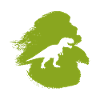 Dinosaur Reptile
