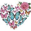 Heart of butterflies