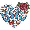 Heart of butterflies
