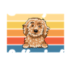 Cockapoo Gifts