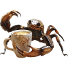 Skorpion Kaffee