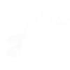 Éléphant joueur soufflant des bulles