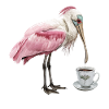 Löffel Kaffee