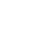 Dragon Blanc Art graphique complexe