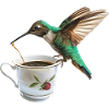 Kolibri Kaffee
