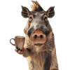 Warzenschwein Kaffee