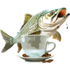 Tarpon Kaffee