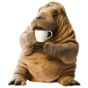 Walross Kaffee