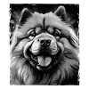 Chow Chow Dog Portrait