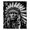 Apache Indian Chief Skull