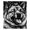 Akita Dog Portrait
