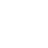 Skull Memento Mori