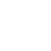 Crâne Memento Mori