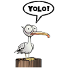 Seagull Speech Bubble Yolo