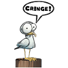 Seagull speech bubble embarrassment