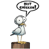 Seagull Speech Bubble Hot Chicken