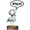Möwe Sprechblase Yolo