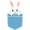 Bunny in shirt pocket