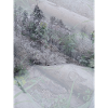 Snow Landscape with Treetrunks
