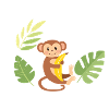 Monkey with banana