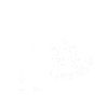 Life Without A Bluetick Coonhound