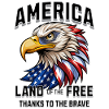 America Land Of Free