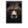 grizzly bears Grizzly bear
