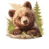 Grizzlis Ours grizzly