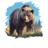 grizzly bears Grizzly bear