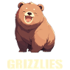 Grizzlybären Grizzlybär
