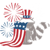 Patriotic Raccoon Fireworks