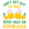 Kombucha Scoby fermented drinks