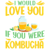 Kombucha Scoby fermented drinks