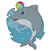 Dolphin Swimming Water Polo Summer