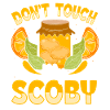 Kombucha Scoby fermented drinks