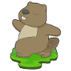 Beaver Yoga Fitness Gymnastics