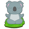 Koala Yoga Fitness Gymnastique
